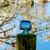 Ігрова фігурка FUNKO POP! серії "Аватар" – НЕЙТІРІ