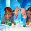 Іграшка, що зростає, в яйці «Dino Eggs Winter» - ЗИМОВІ ДИНОЗАВРИ (в асорт., у дисплеї)