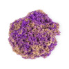 Набір піску для дитячої творчості - KINETIC SAND МУШЛЯ ФІОЛЕТОВА